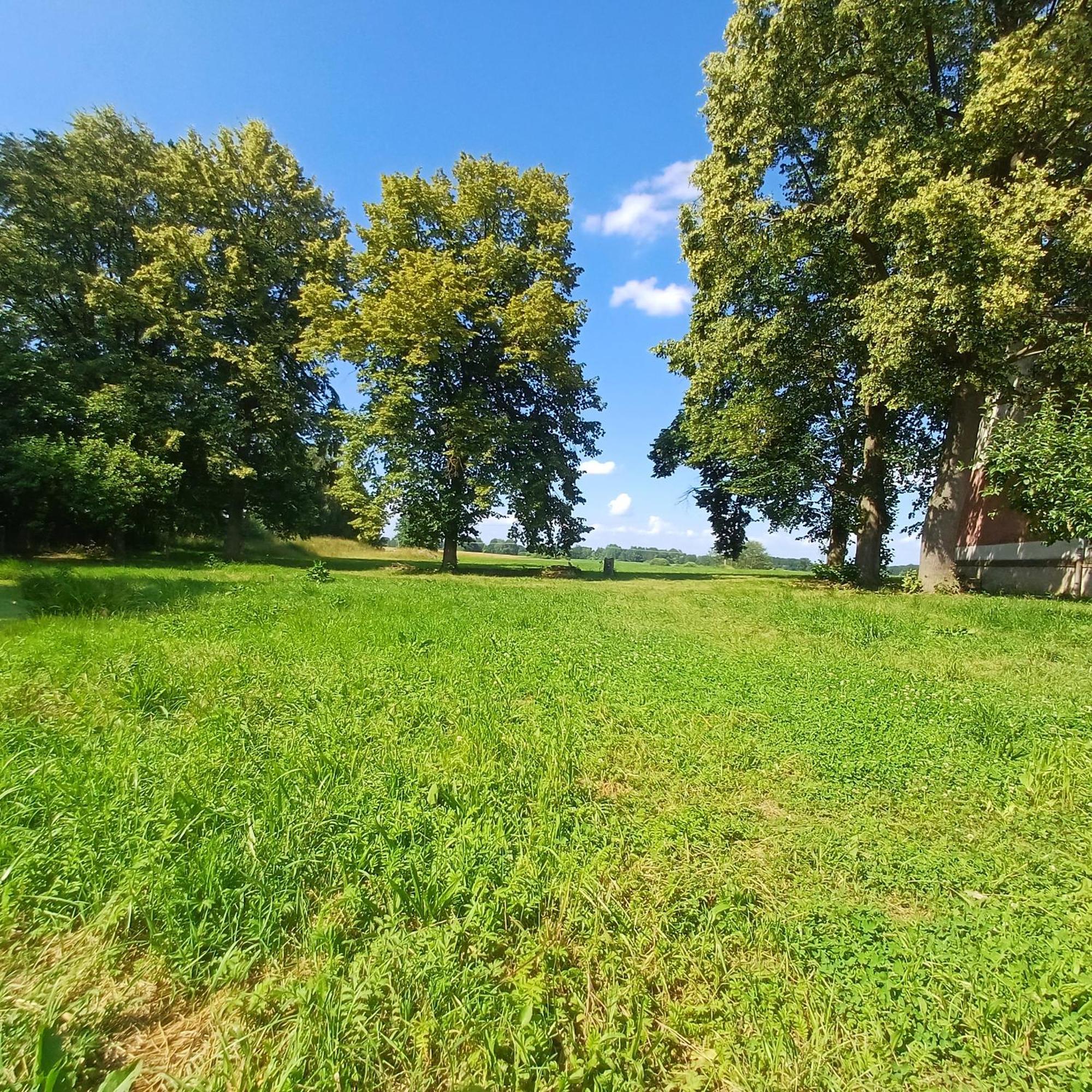 Lomnice nad LužnicíStatek U Spulakaアパートメント エクステリア 写真